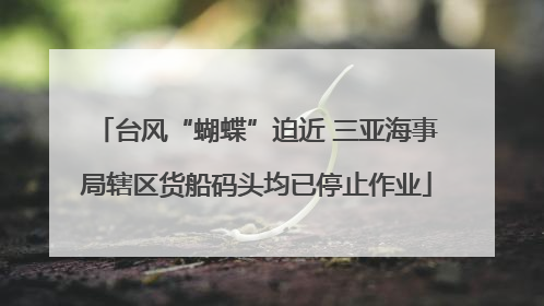 台风“蝴蝶”迫近 三亚海事局辖区货船码头均已停止作业